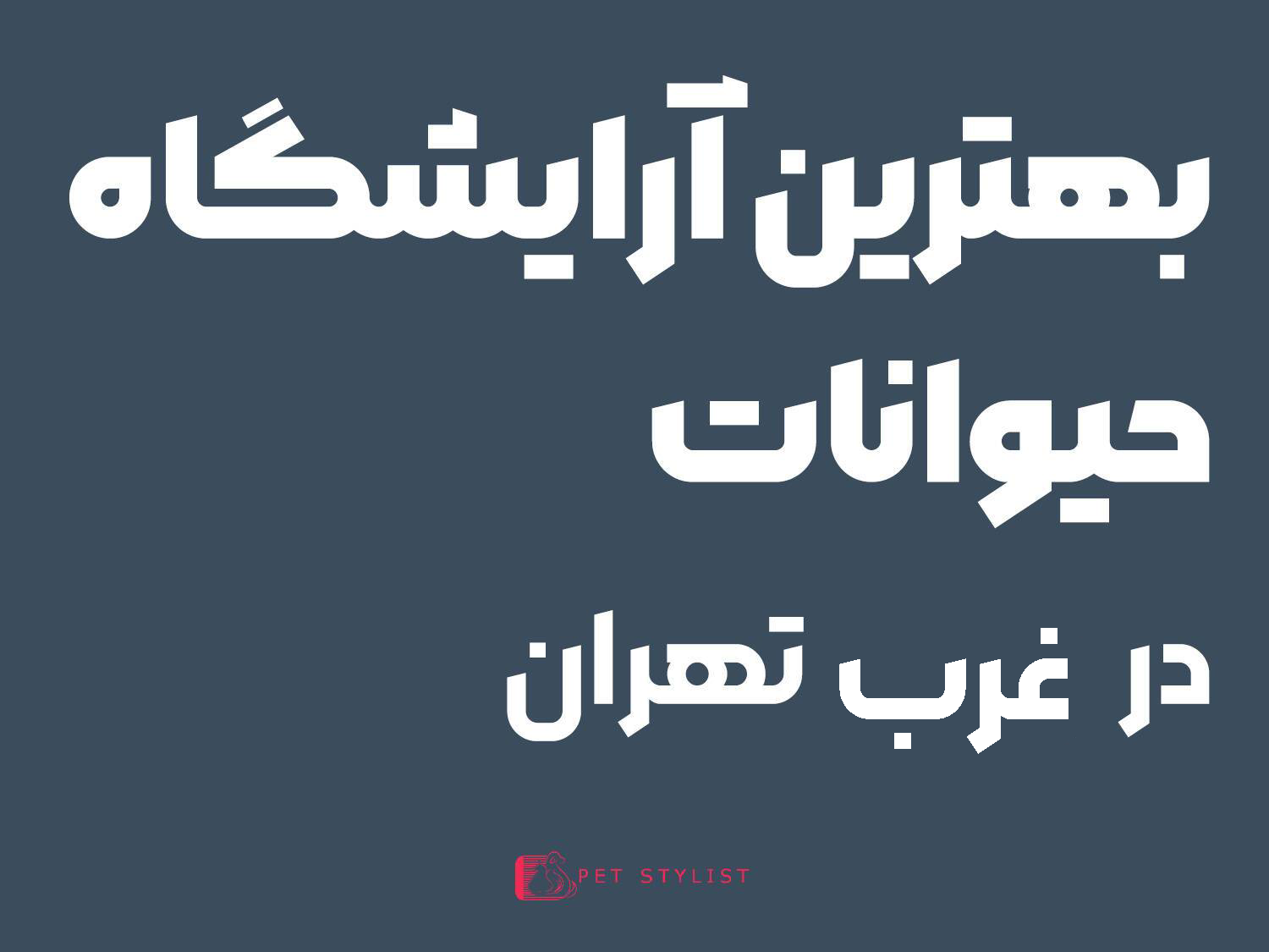 بهترین آرایشگاه سگ در غرب تهران